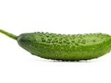 PicklePeople_160x120.jpg